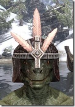 Argonian-Helmet-3-Argonian-Male-Front_thumb.jpg