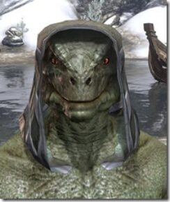 Daedric-Homespun-Hat-Argonian-Male-Front_thumb.jpg