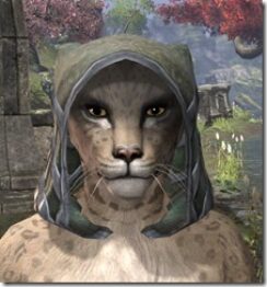 Daedric-Homespun-Hat-Khajiit-Female-Front_thumb.jpg