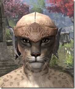 Dark-Elf-Hat-1-Khajiit-Female-Front_thumb.jpg