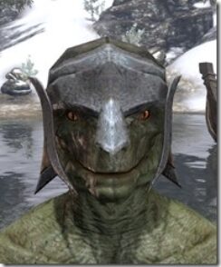 Dark-Elf-Hat-2-Argonian-Male-Front_thumb.jpg