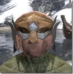 Dark-Elf-Hat-3-Argonian-Male-Front_thumb.jpg