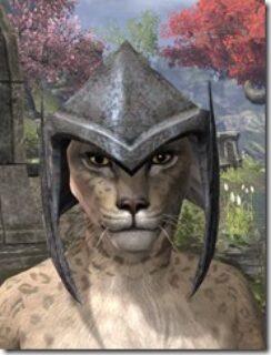 Dark-Elf-Helm-1-Khajiit-Female-Front_thumb.jpg