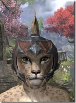 Dark-Elf-Helmet-1-Khajiit-Female-Front_thumb.jpg