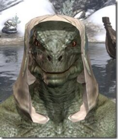 Glass-Homespun-Hat-Argonian-Male-Front_thumb.jpg