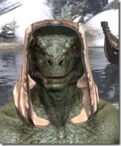 High-Elf-Hat-1-Argonian-Male-Front_thumb.jpg