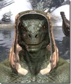 High-Elf-Hat-2-Argonian-Male-Front_thumb.jpg