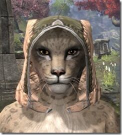 High-Elf-Hat-2-Khajiit-Female-Front_thumb.jpg