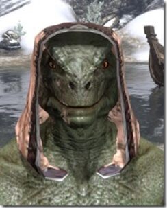 High-Elf-Hat-3-Argonian-Male-Front_thumb.jpg