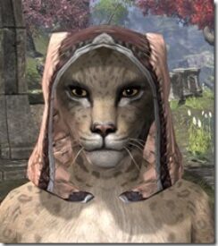 High-Elf-Hat-3-Khajiit-Female-Front_thumb.jpg