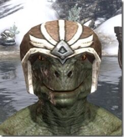 High-Elf-Helmet-1-Argonian-Male-Front_thumb.jpg