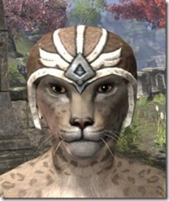 High-Elf-Helmet-1-Khajiit-Female-Front_thumb.jpg