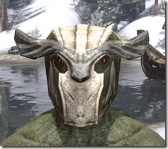 High-Elf-Helmet-2-Argonian-Male-Front_thumb.jpg