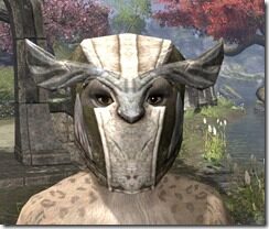 High-Elf-Helmet-2-Khajiit-Female-Front_thumb.jpg