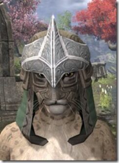 Mercenary-Homespun-Hat-Khajiit-Female-Front_thumb.jpg