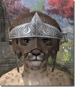 Mercenary-Rawhide-Helmet-Khajiit-Female-Front_thumb.jpg