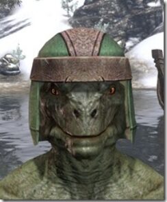 Nord-Hat-1-Argonian-Male-Front_thumb.jpg