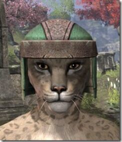 Nord-Hat-1-Khajiit-Female-Front_thumb.jpg