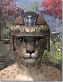 Nord-Hat-2-Khajiit-Female-Front_thumb.jpg