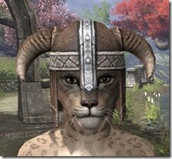 Nord-Helmet-1-Khajiit-Female-Front_thumb.jpg