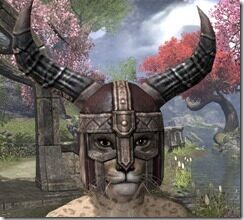 Nord-Helmet-3-Khajiit-Female-Front_thumb.jpg