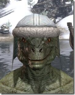 Orc-Hat-1-Argonian-Male-Front_thumb.jpg