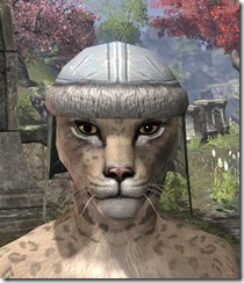 Orc-Hat-1-Khajiit-Female-Front_thumb.jpg