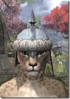 Orc-Hat-2-Khajiit-Female-Front_thumb.jpg