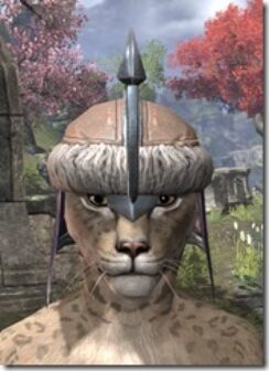 Orc-Hat-3-Khajiit-Female-Front_thumb.jpg