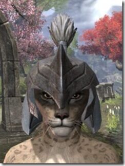 Orc-Helm-1-Khajiit-Female-Front_thumb.jpg