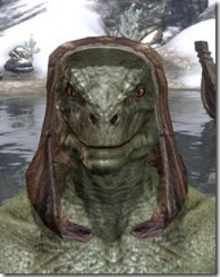 Primal-Homespun-Hat-Argonian-Male-Front_thumb.jpg