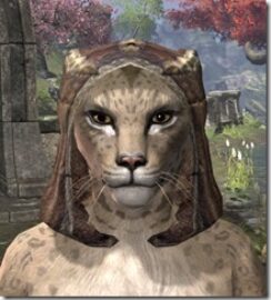 Primal-Homespun-Hat-Khajiit-Female-Front_thumb.jpg