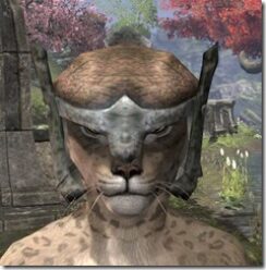 Primal-Rawhide-Helmet-Khajiit-Female-Front_thumb.jpg