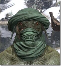 Ra-Gada-Homespun-Hat-Argonian-Male-Front_thumb.jpg