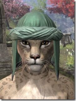 Redguard-Hat-1-Khajiit-Female-Front_thumb.jpg