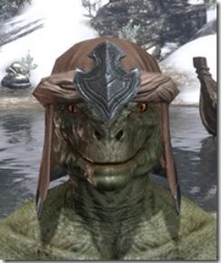 Redguard-Hat-2-Argonian-Male-Front_thumb.jpg