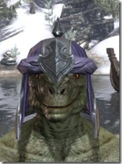 Redguard-Hat-3-Argonian-Male-Front_thumb.jpg