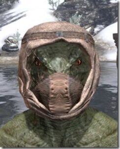 Redguard-Helmet-1-Argonian-Male-Front_thumb.jpg