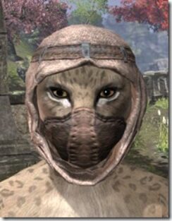 Redguard-Helmet-1-Khajiit-Female-Front_thumb.jpg
