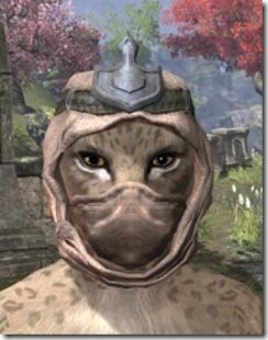 Redguard-Helmet-2-Khajiit-Female-Front_thumb.jpg