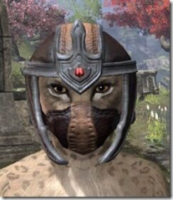 Redguard-Helmet-3-Khajiit-Female-Front_thumb.jpg