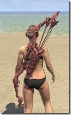 Sellistrix-Bow-1_thumb.jpg