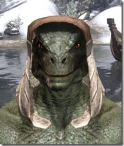 Wood-Elf-Hat-1-Argonian-Male-Front_thumb.jpg