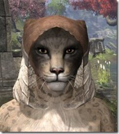 Wood-Elf-Hat-1-Khajiit-Female-Front_thumb.jpg
