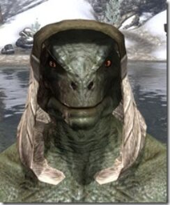 Wood-Elf-Hat-2-Argonian-Male-Front_thumb.jpg