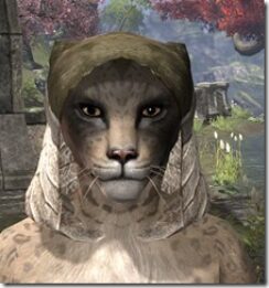 Wood-Elf-Hat-2-Khajiit-Female-Front_thumb.jpg
