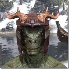 Wood-Elf-Hat-3-Argonian-Male-Front_thumb.jpg