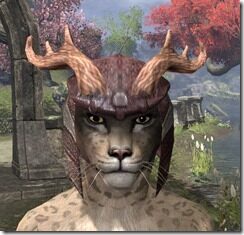 Wood-Elf-Hat-3-Khajiit-Female-Front_thumb.jpg