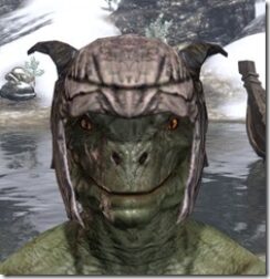 Wood-Elf-Helm-1-Argonian-Male-Front_thumb.jpg