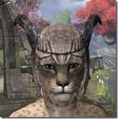 Wood-Elf-Helm-1-Khajiit-Female-Front_thumb.jpg